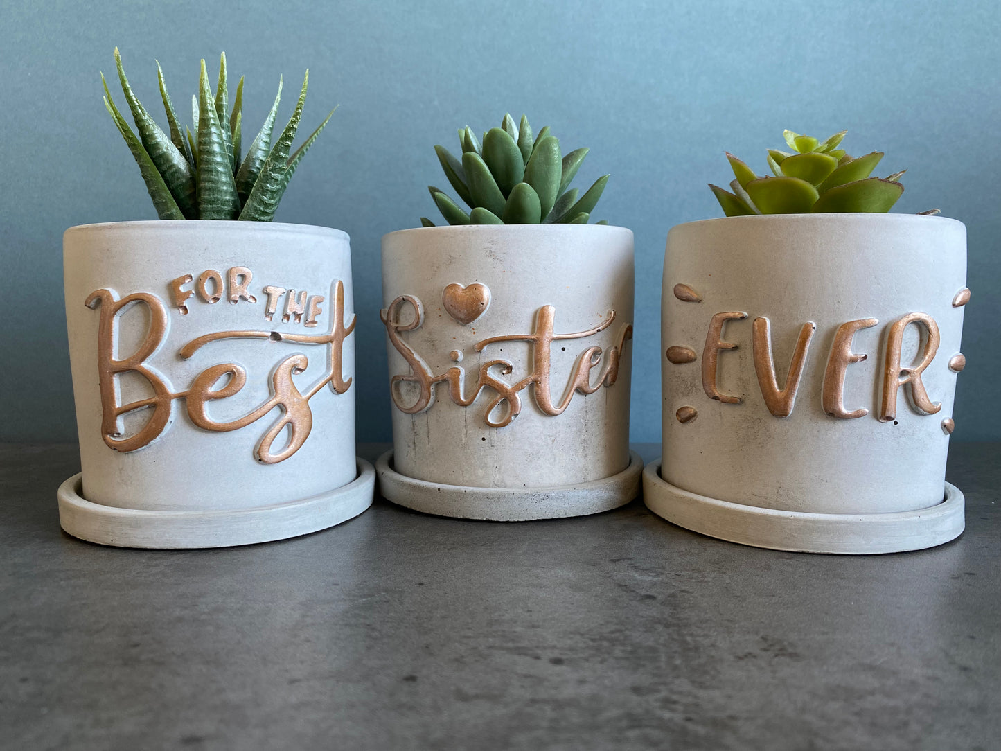 Funny planters For the best - Sister - Mum - Friend - Ever