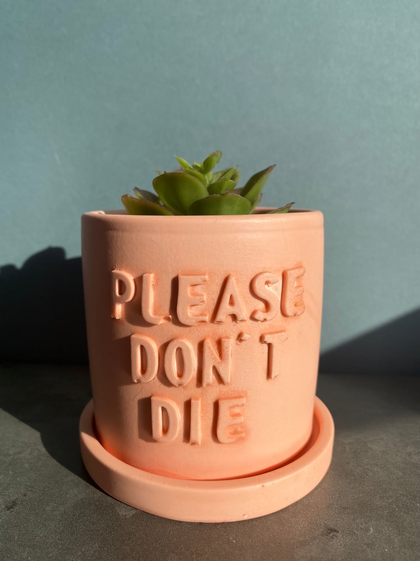 Funny message planter