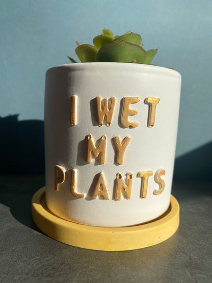 Funny message planter