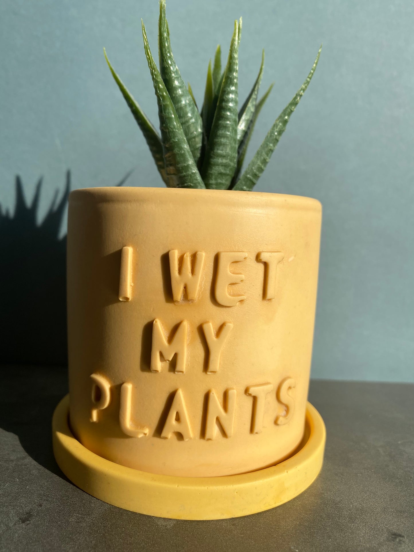 Funny message planter