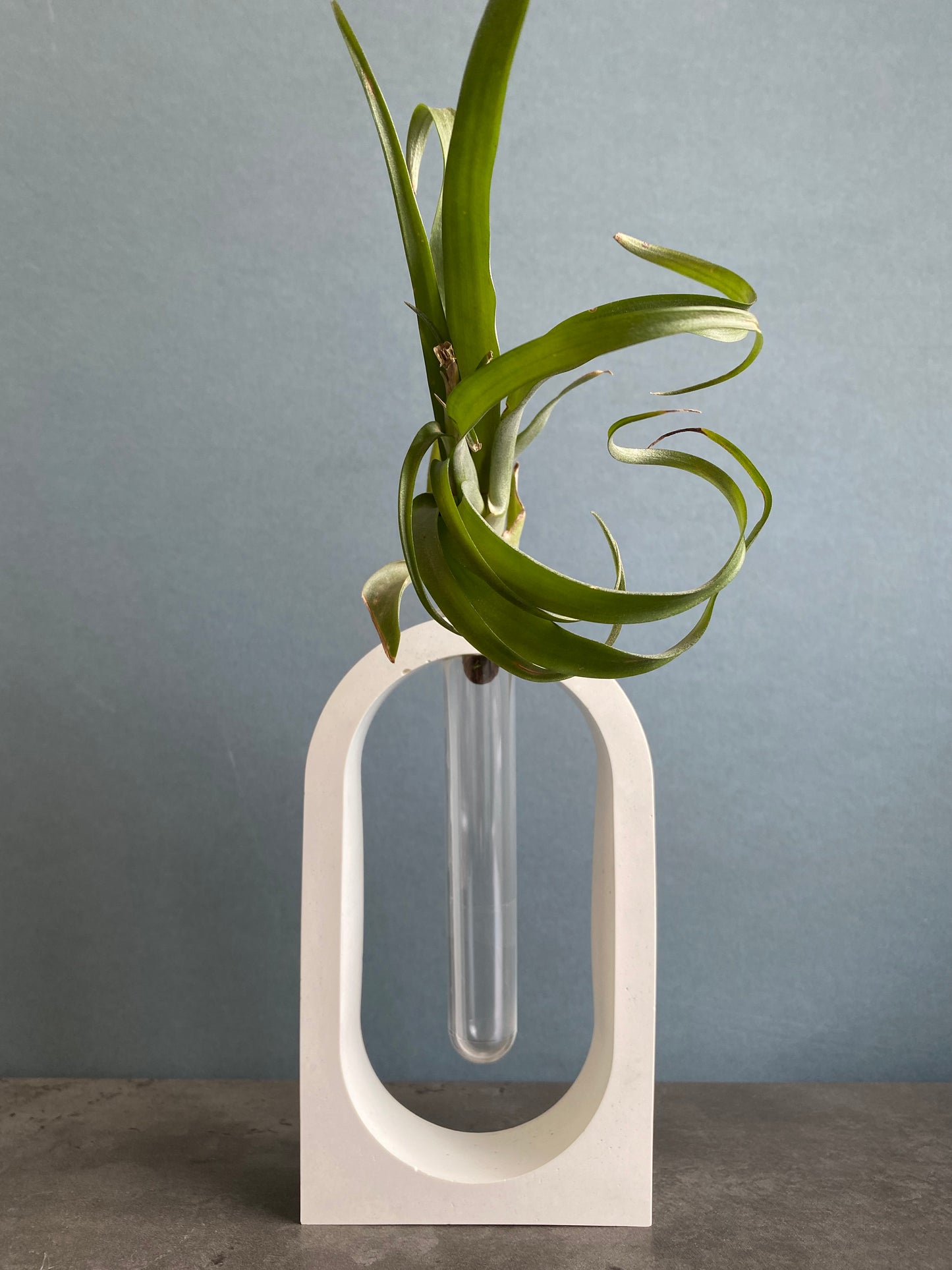 Vase, Propagation station , Hydroponic plant vase