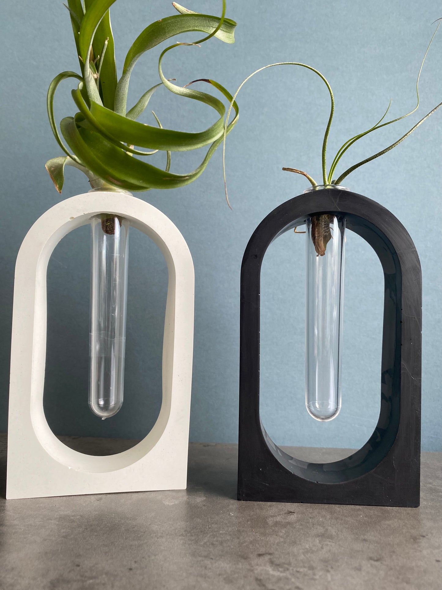 Vase, Propagation station , Hydroponic plant vase