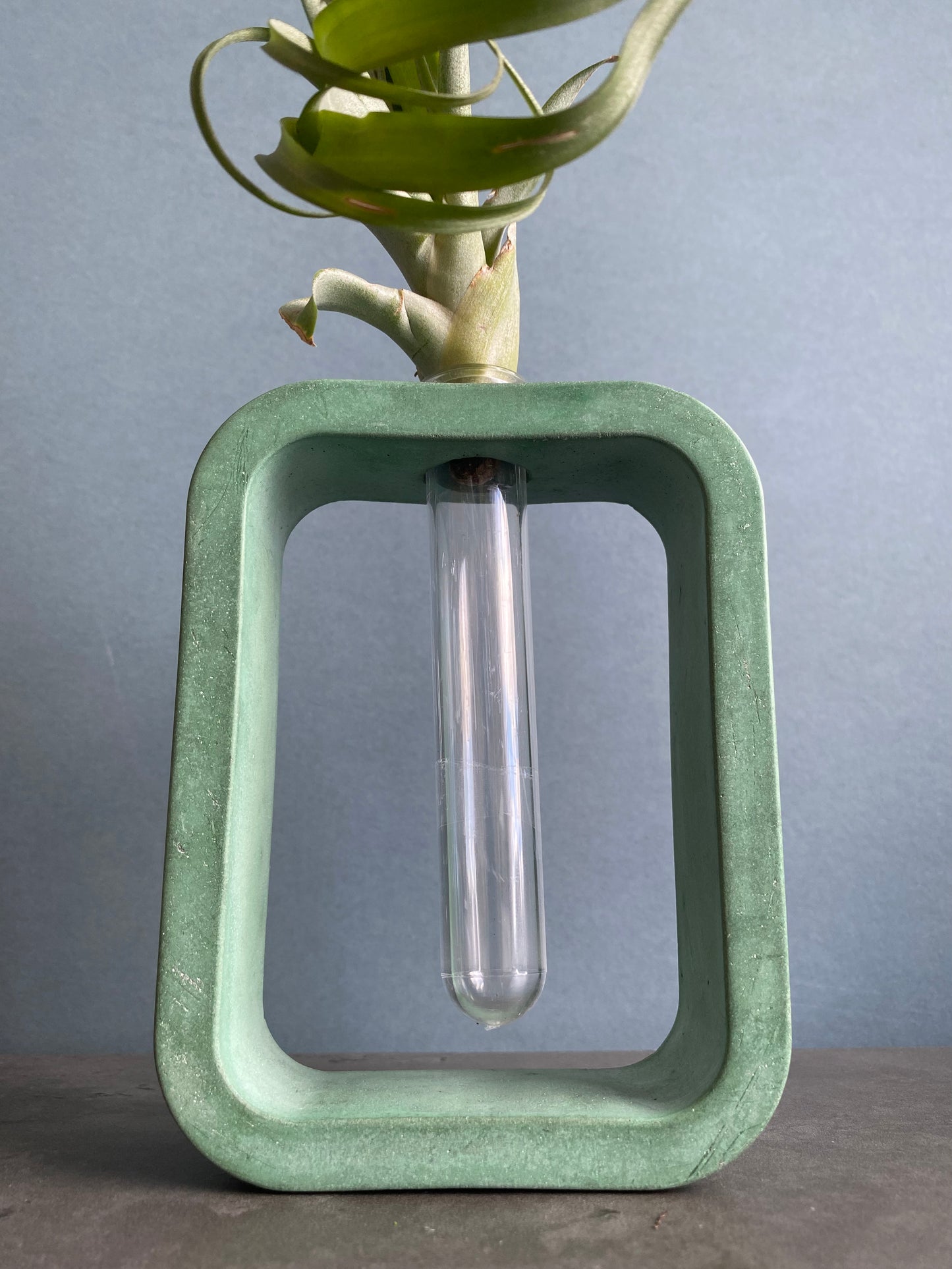 Vase, Propagation station , Hydroponic plant vase