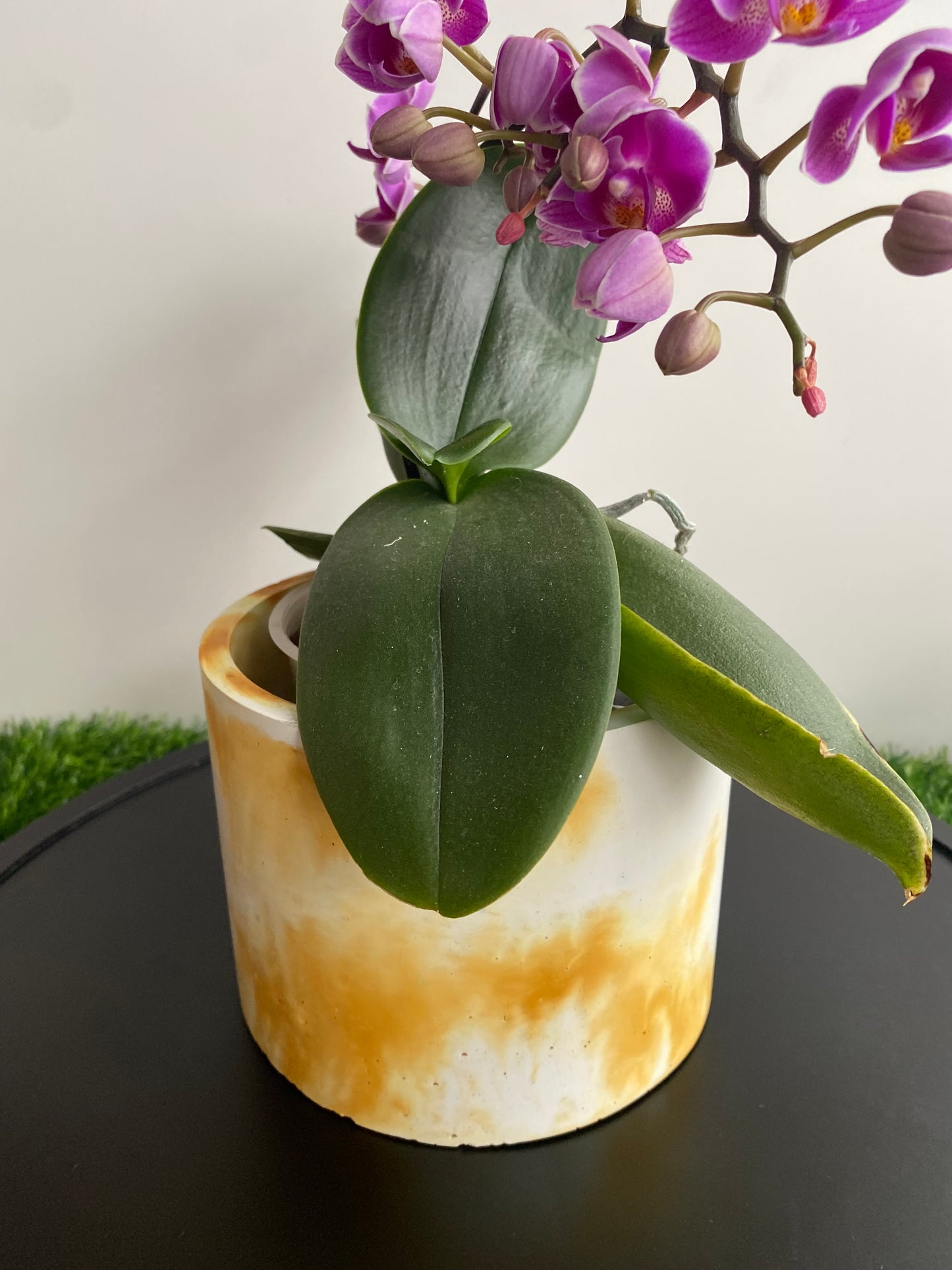 Marble effect round large concrete plant pot