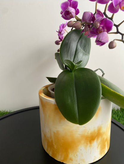 Marble effect round large concrete plant pot