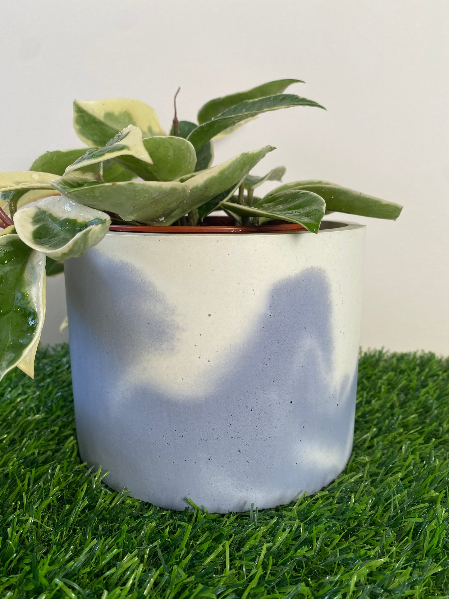 Marble effect round large concrete plant pot