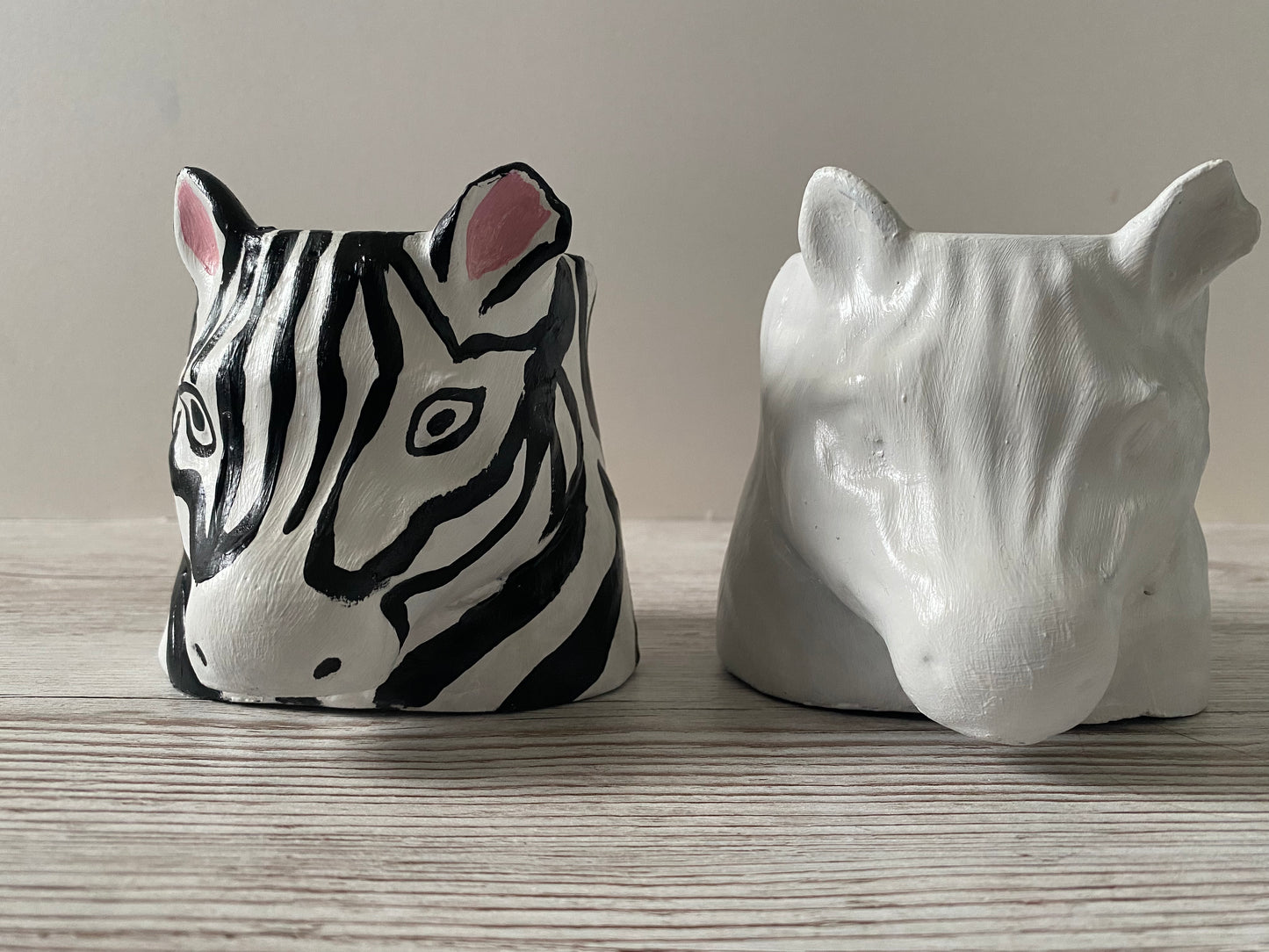 Zebra shaped pot, Funny planters