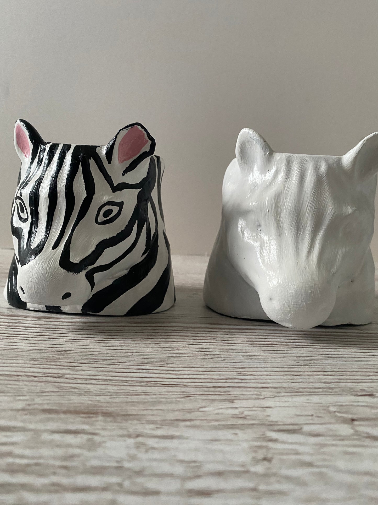 Zebra shaped pot, Funny planters