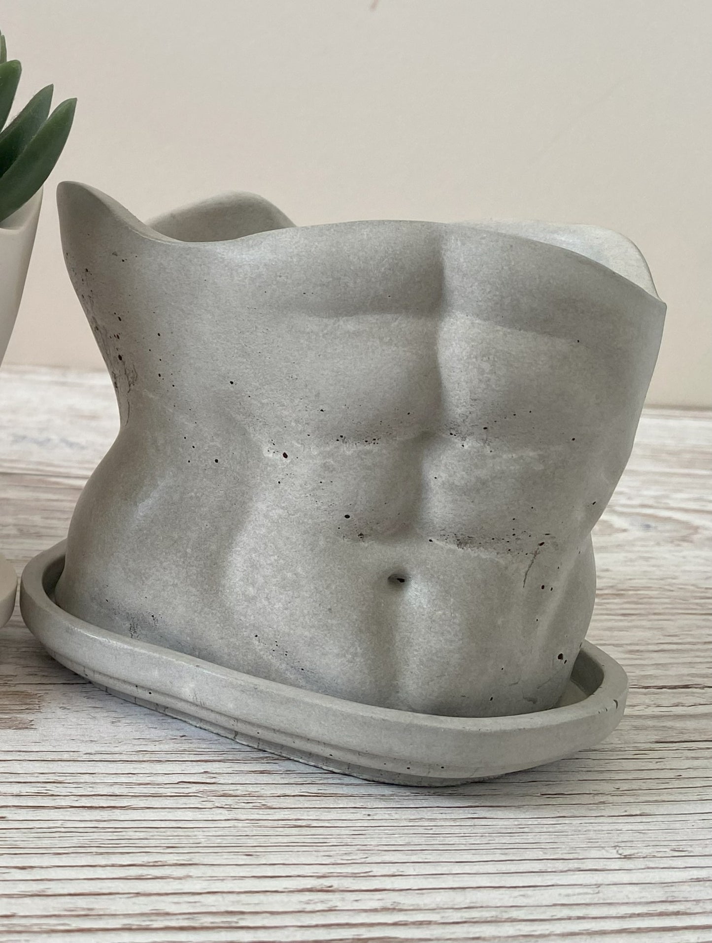 David’s body planter, male butt pot, man torso planters