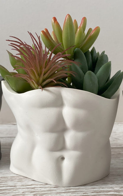 David’s body planter, male torso and butt planter pot