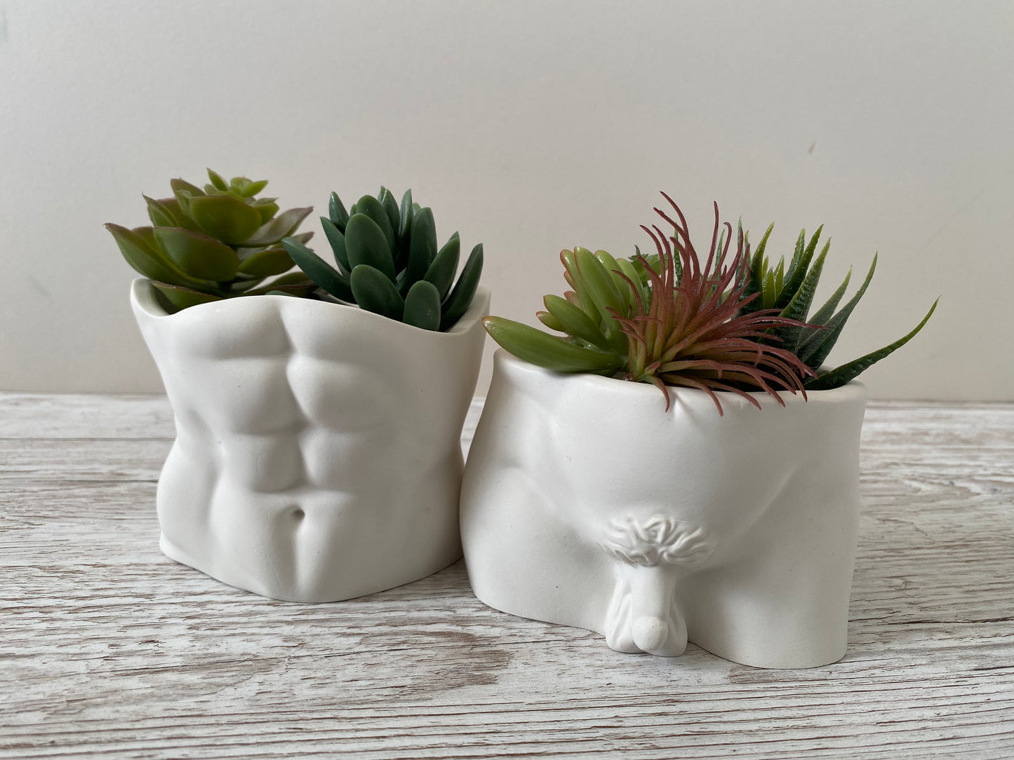 David’s body planter, male butt pot, man torso planters