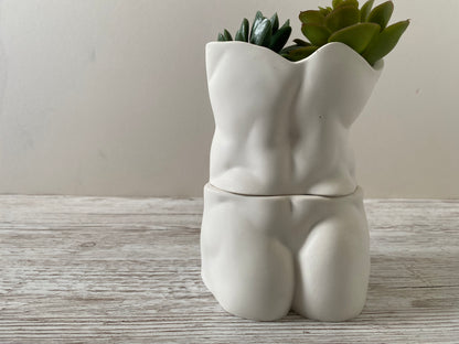 David’s body planter, male butt pot, man torso planters