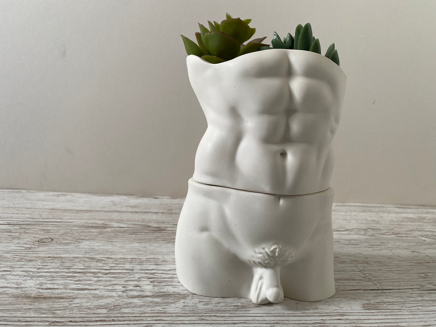 David’s body planter, male torso and butt planter pot