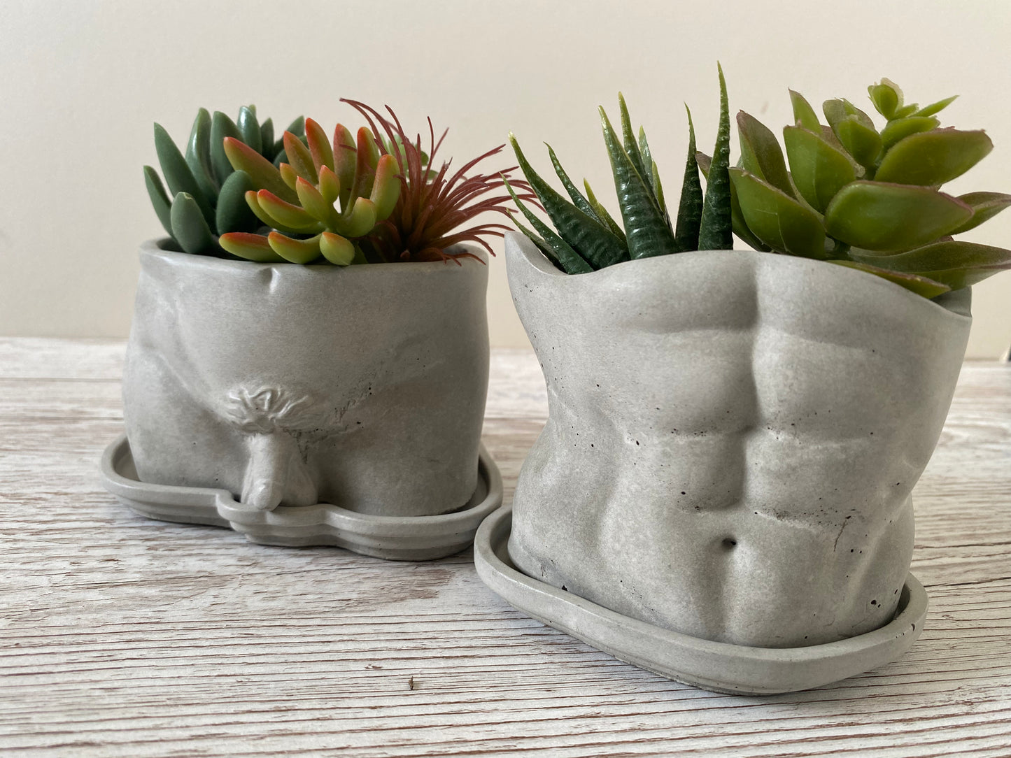 David’s body planter, male butt pot, man torso planters