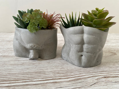 David’s body planter, male butt pot, man torso planters