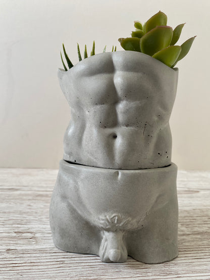 David’s body planter, male butt pot, man torso planters