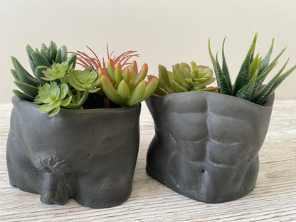 David’s body planter, male butt pot, man torso planters