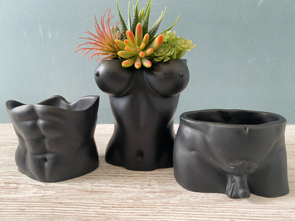 David’s body planter, male torso and butt planter pot