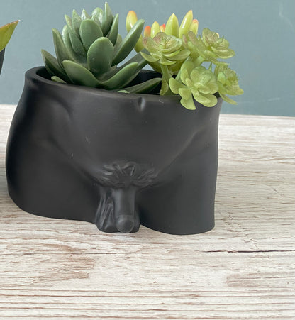 David’s body planter, male torso and butt planter pot