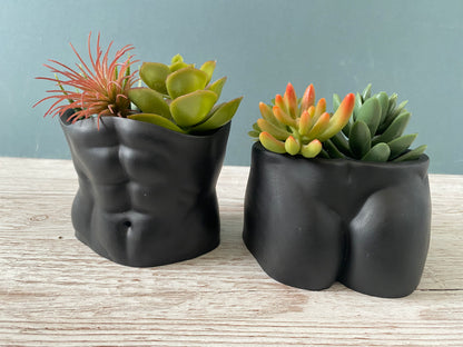 David’s body planter, male torso and butt planter pot