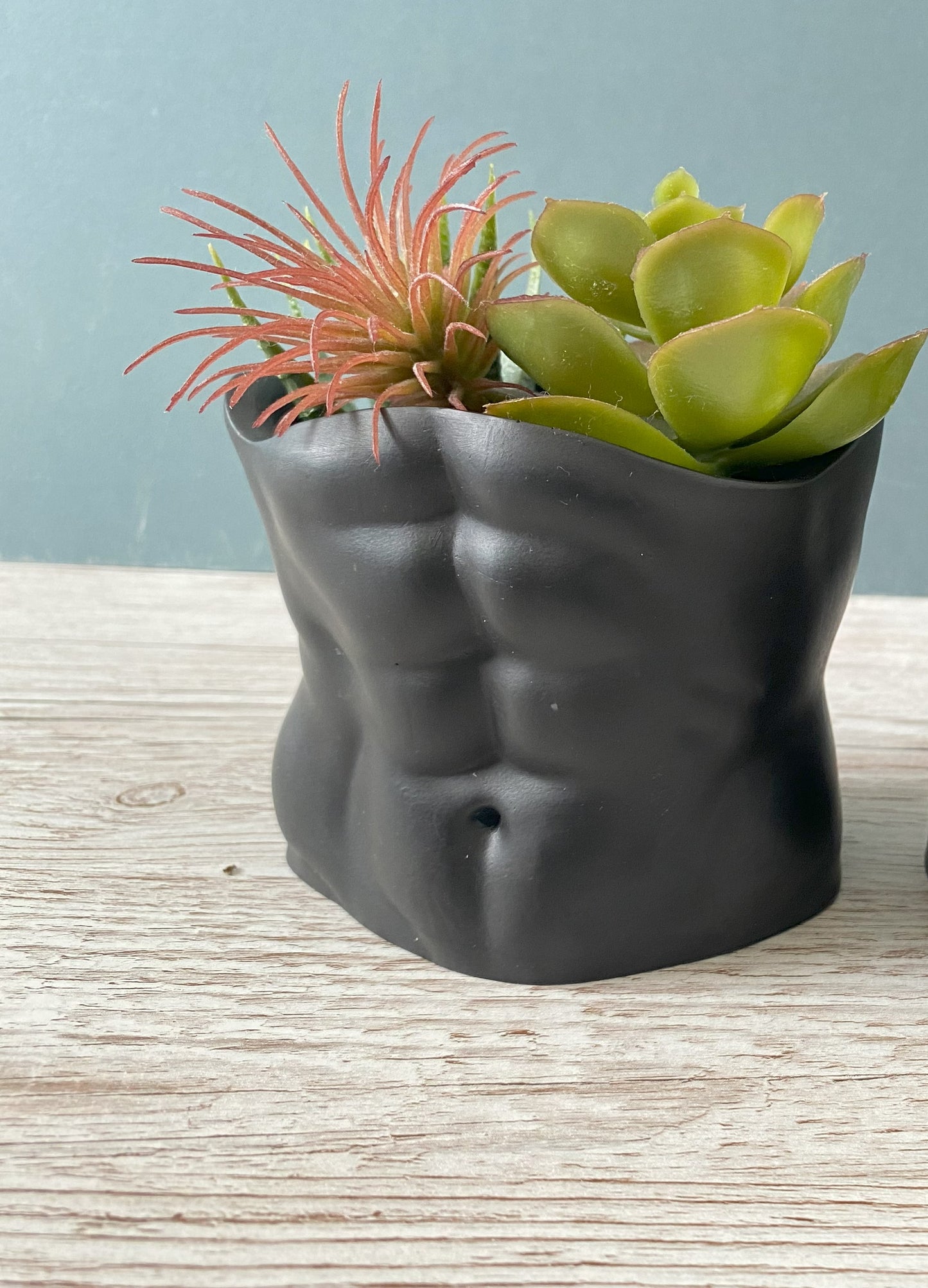 David’s body planter, male torso and butt planter pot