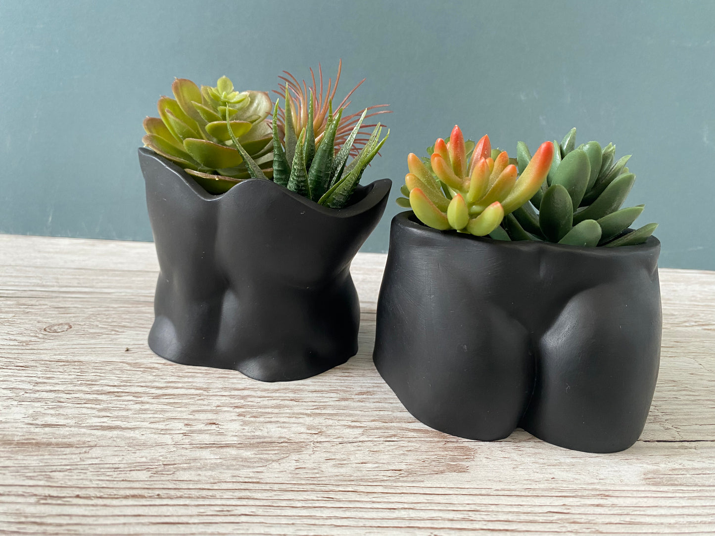 David’s body planter, male torso and butt planter pot