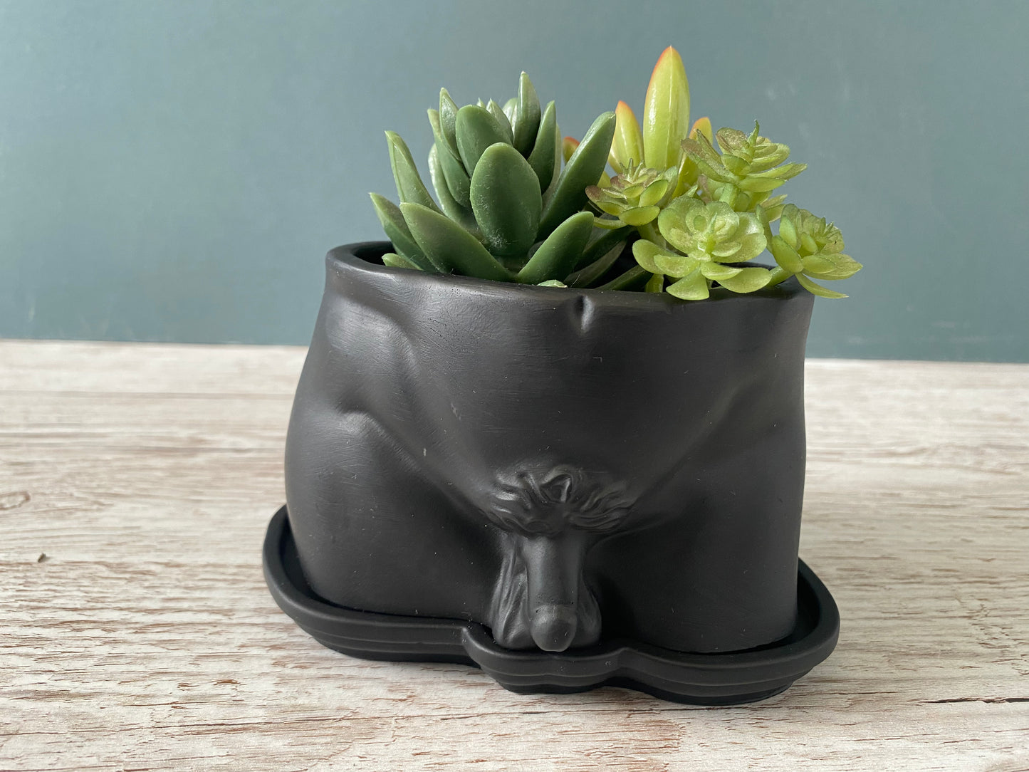 David’s body planter, male torso and butt planter pot