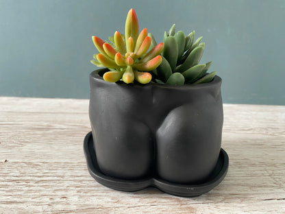 David’s body planter, male torso and butt planter pot