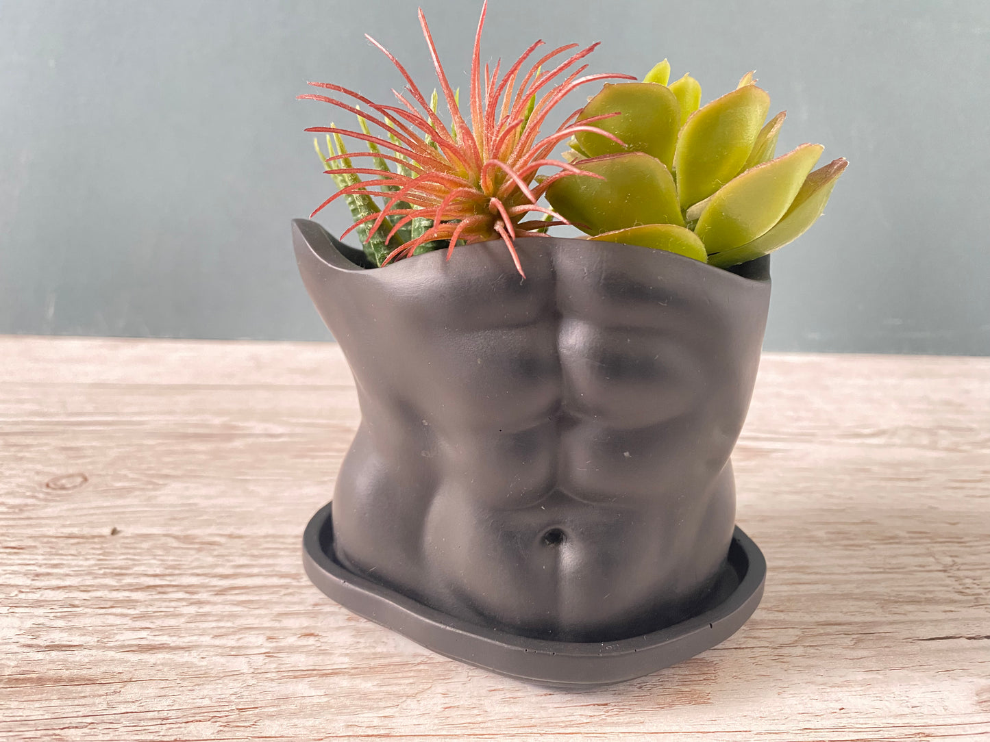 David’s body planter, male torso and butt planter pot