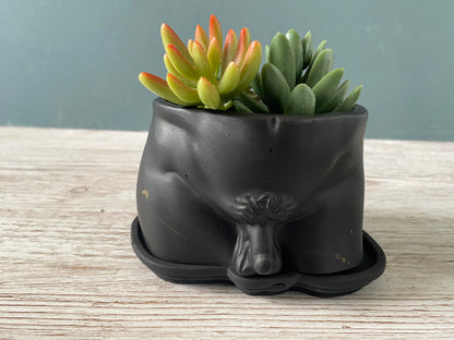 David’s body planter, male torso and butt planter pot