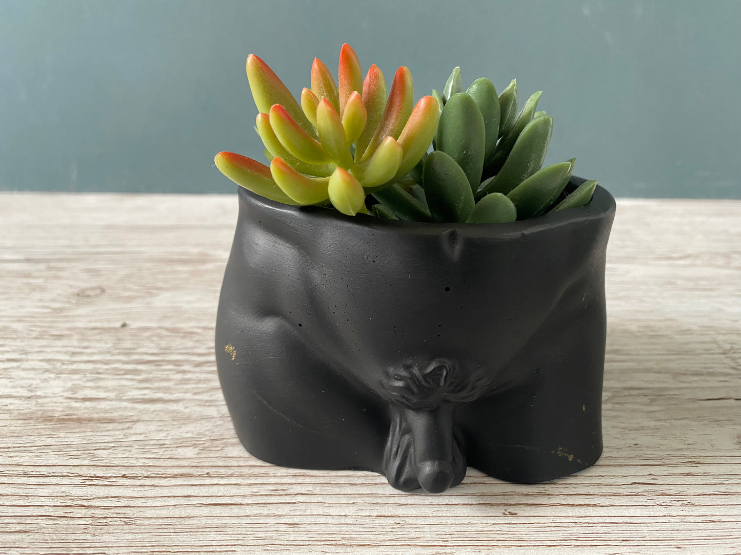 David’s body planter, male torso and butt planter pot