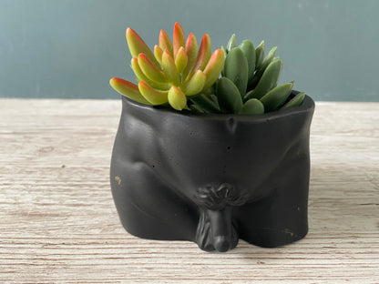 David’s body planter, male torso and butt planter pot