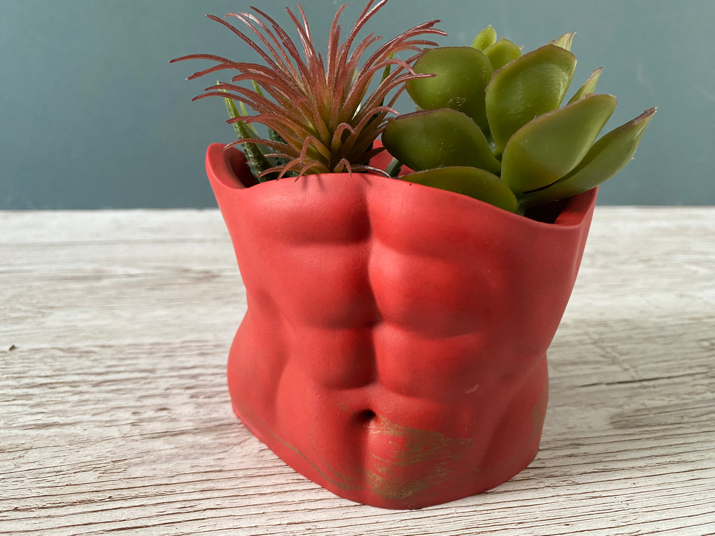 David’s body planter, male torso and butt planter pot