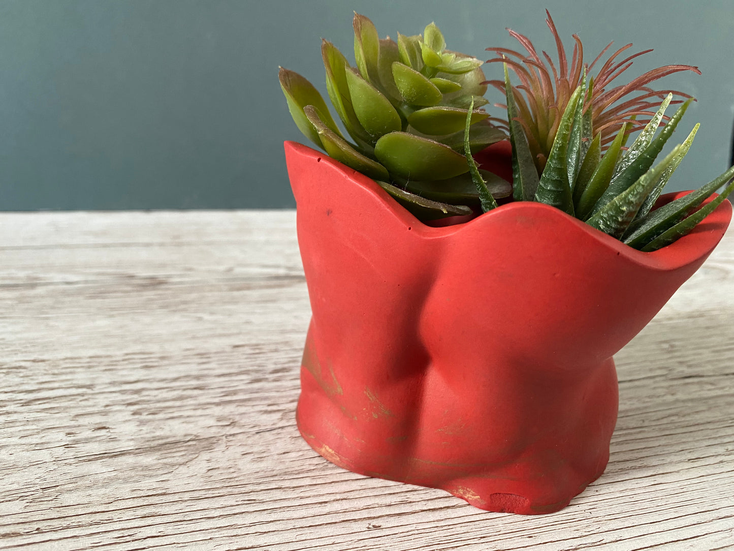 David’s body planter, male torso and butt planter pot