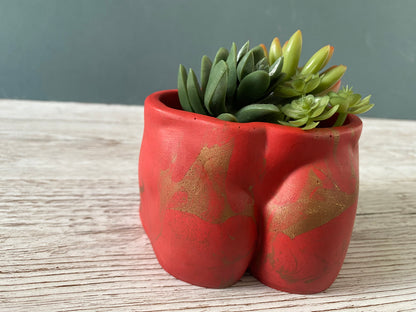 David’s body planter, male torso and butt planter pot