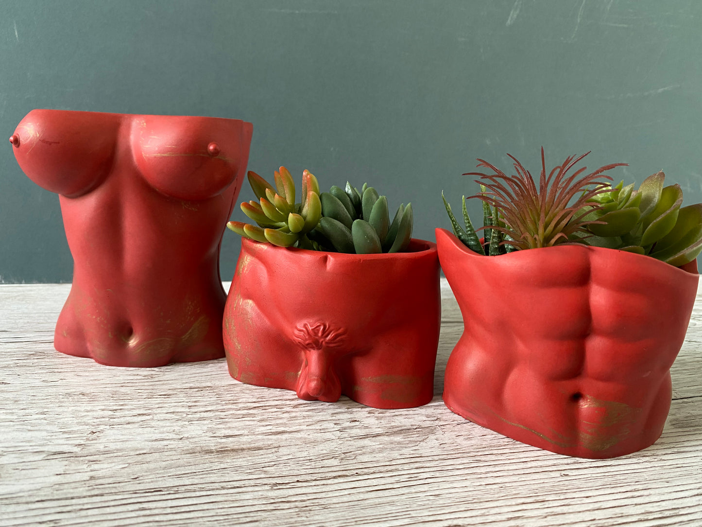 David’s body planter, male torso and butt planter pot