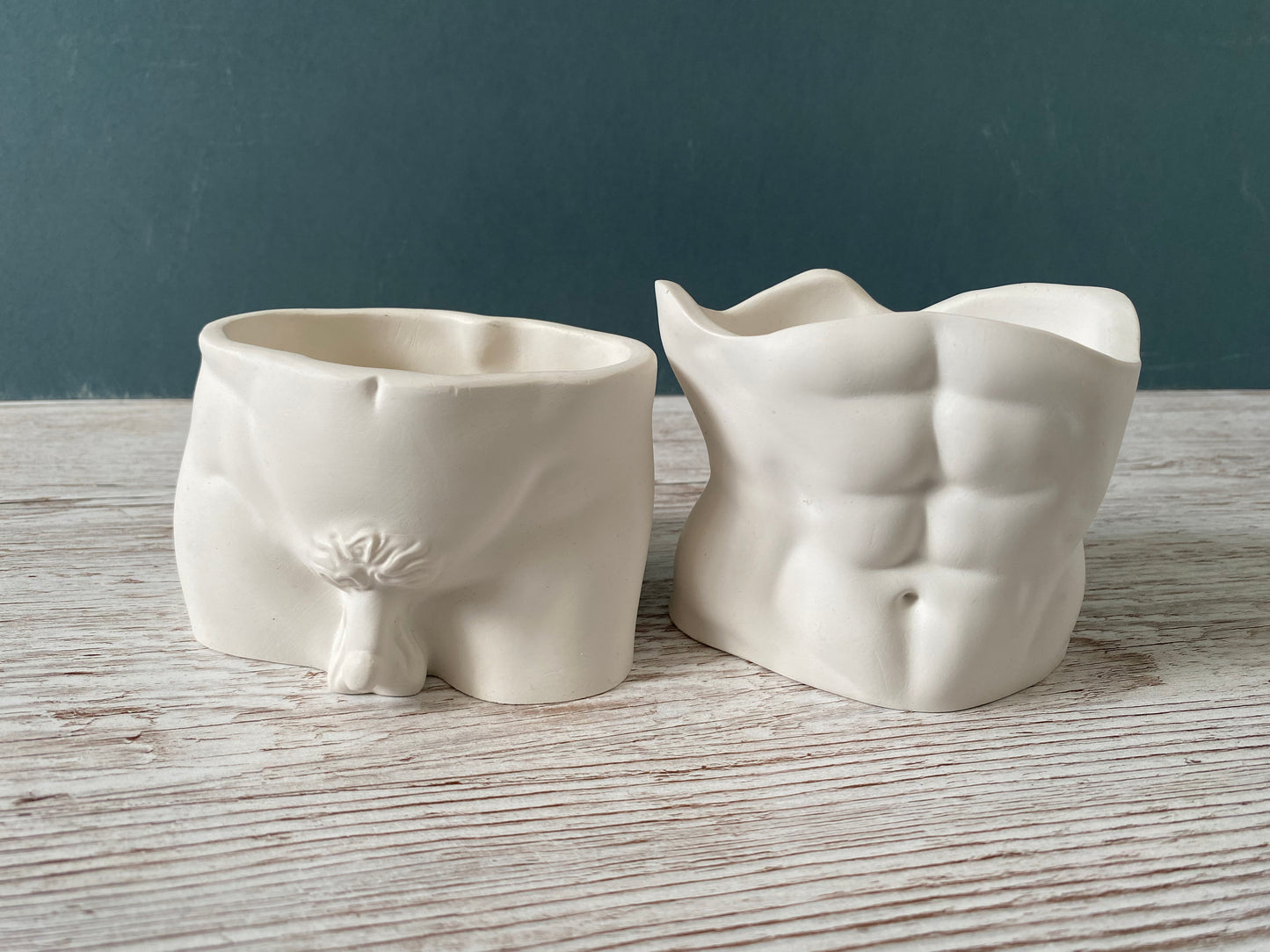 David’s body planter, male torso and butt planter pot