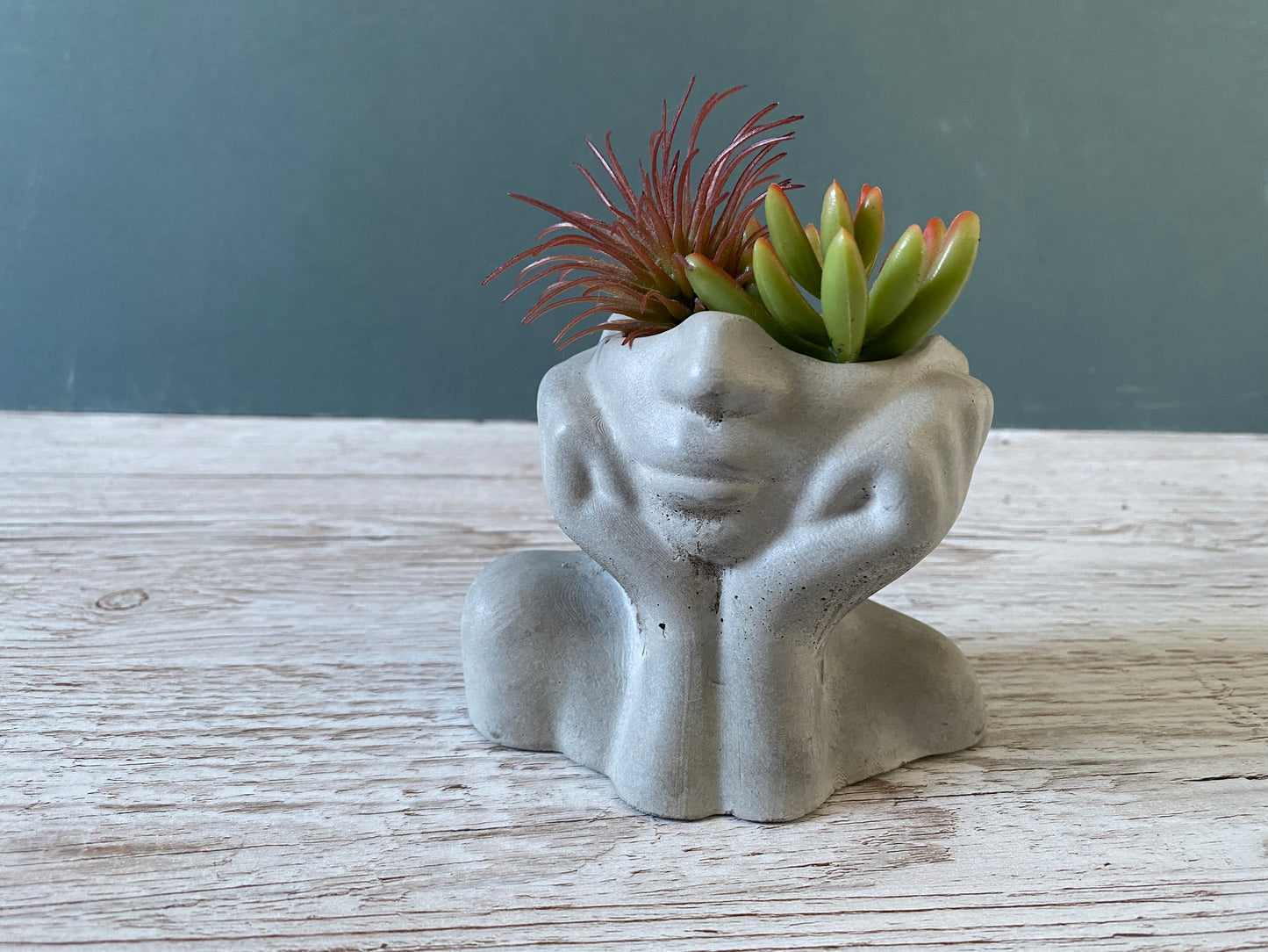 Woman half face succulent air plant vase