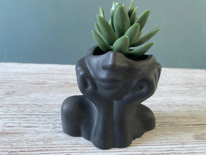 Woman half face succulent air plant vase