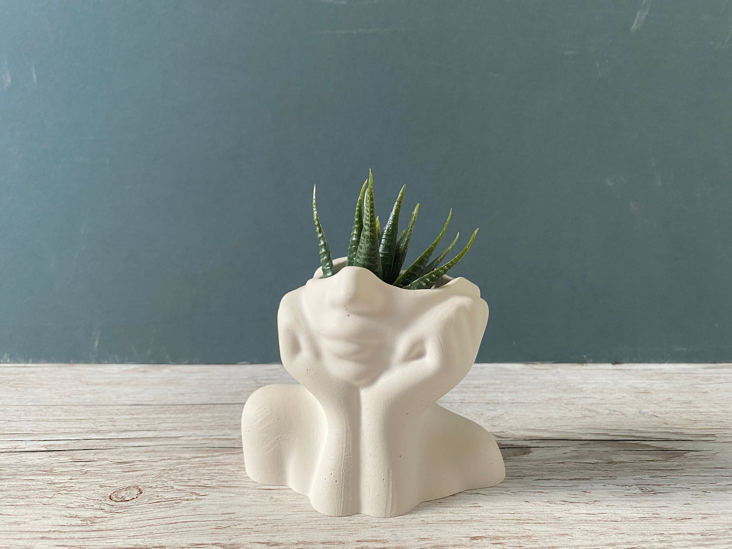 Woman half face succulent air plant vase