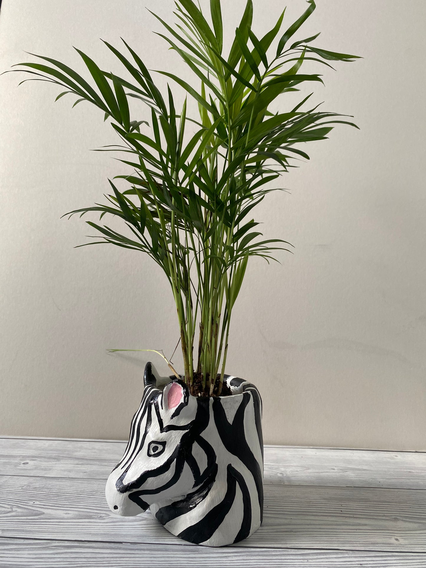 Zebra shaped pot, Funny planters