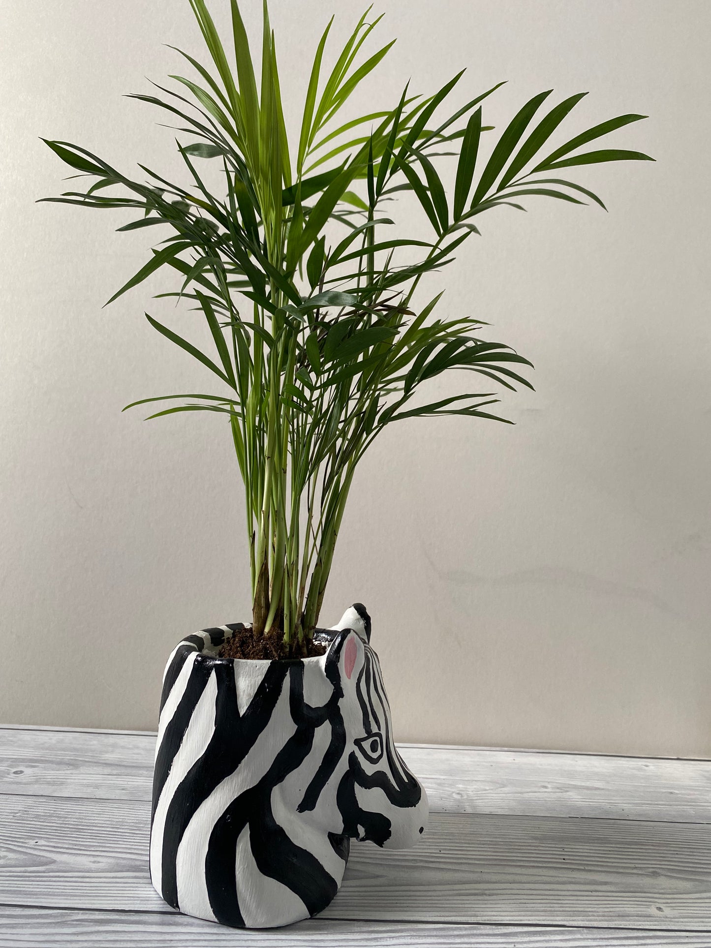 Zebra shaped pot, Funny planters