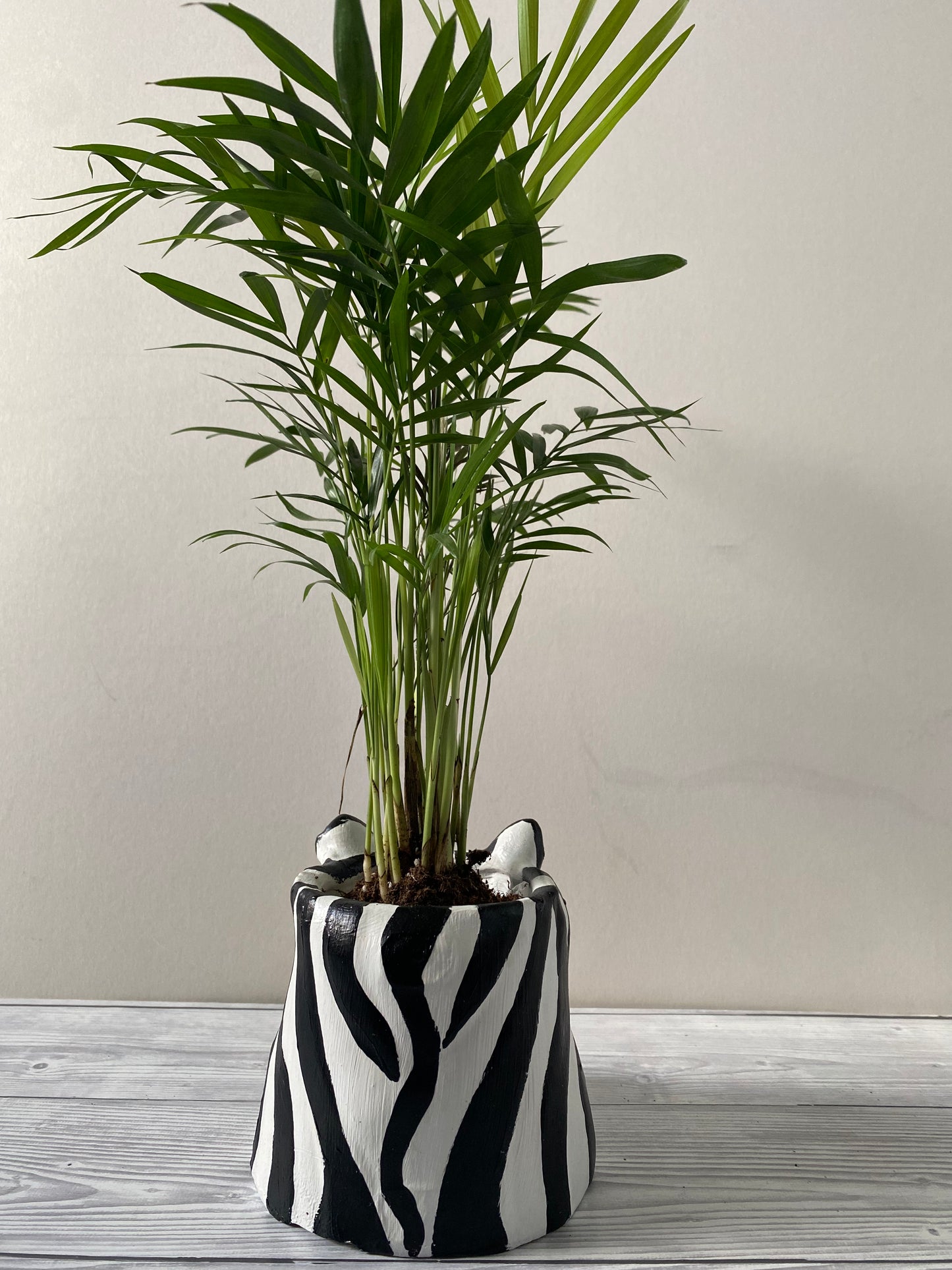 Zebra shaped pot, Funny planters