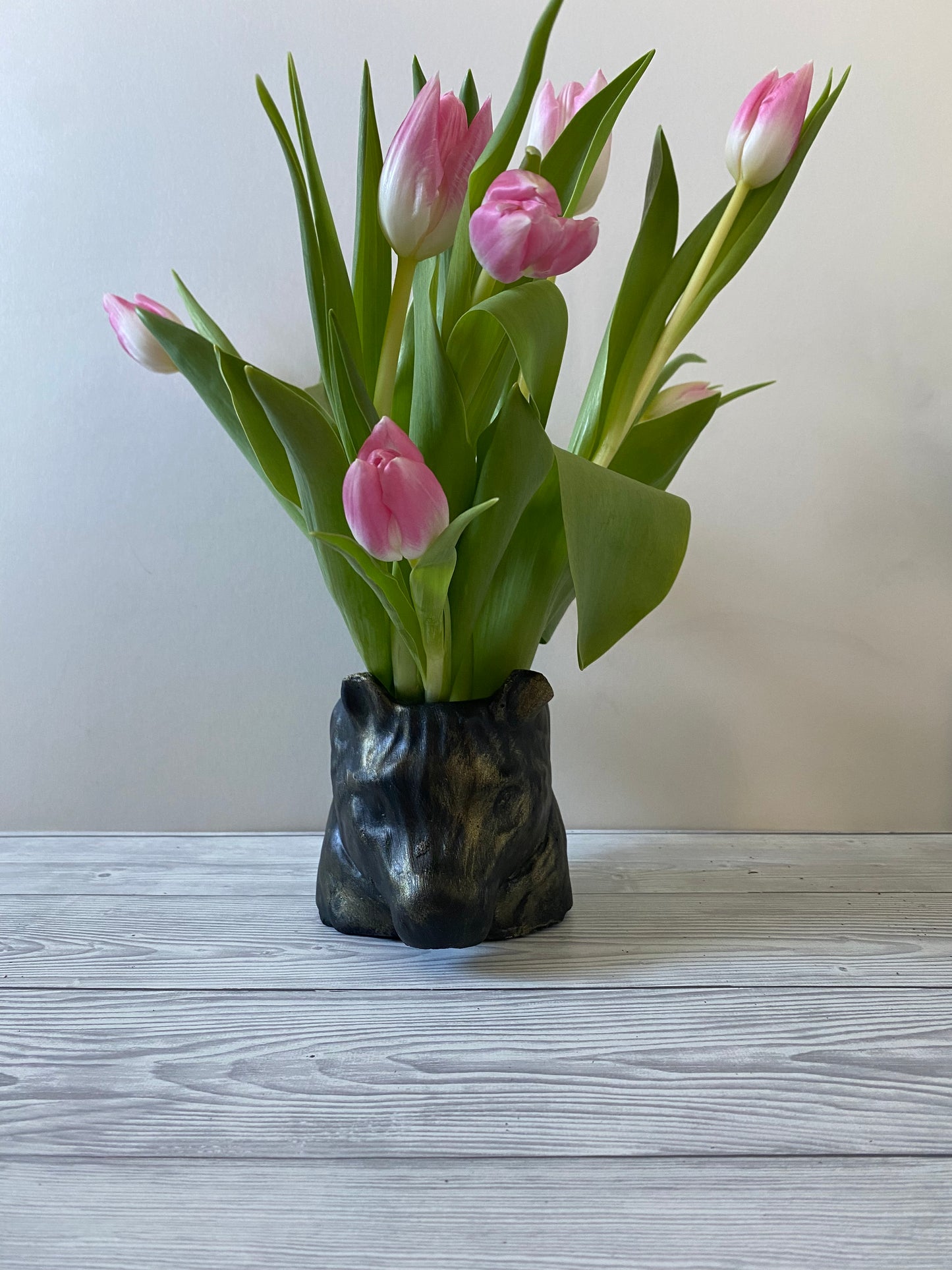 Zebra shaped pot, Funny planters