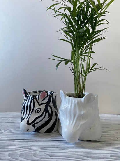 Zebra shaped pot, Funny planters