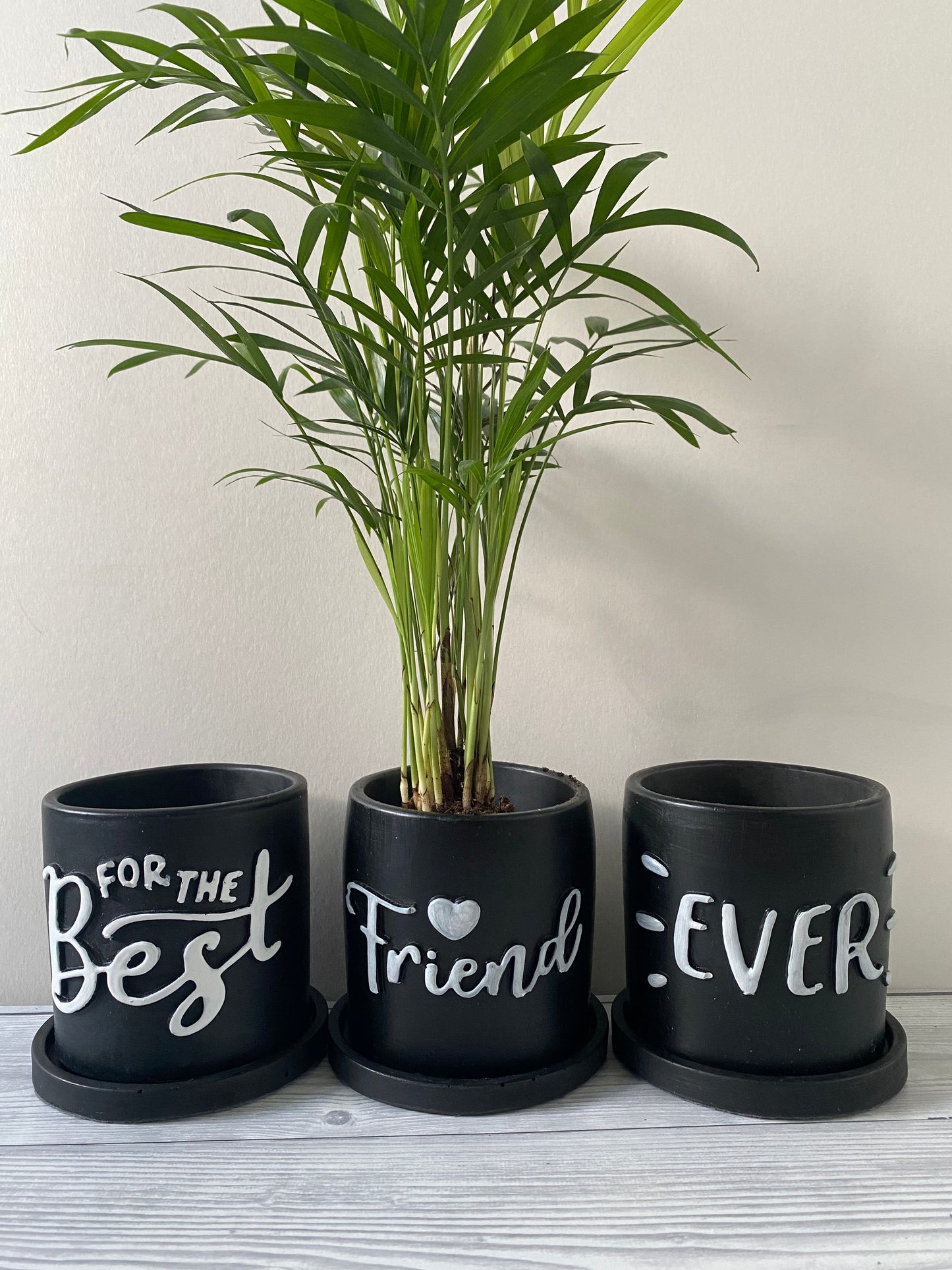 Funny planters For the best friend ever