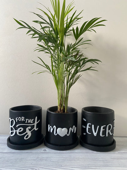 Funny planters For the best Mum Ever