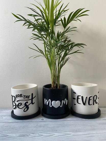 Funny planters For the best Mum Ever