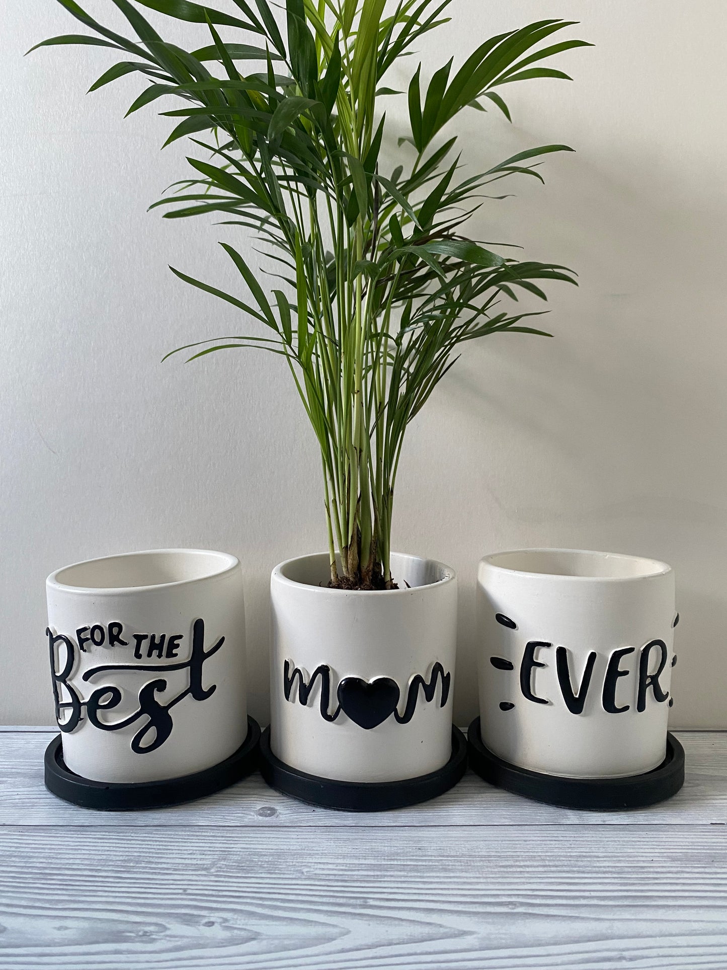 Funny planters For the best Mum Ever