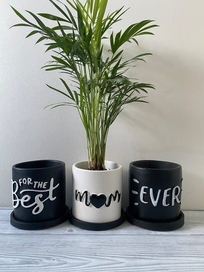 Funny planters For the best Mum Ever